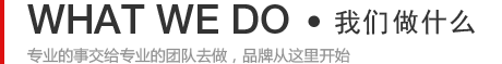 我們能做什么-專(zhuān)業(yè)的事交給專(zhuān)業(yè)的團(tuán)隊(duì)去做，品牌從這里開(kāi)始